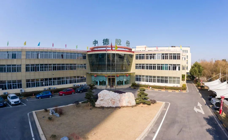 浙江中德自控科技股份有限公司